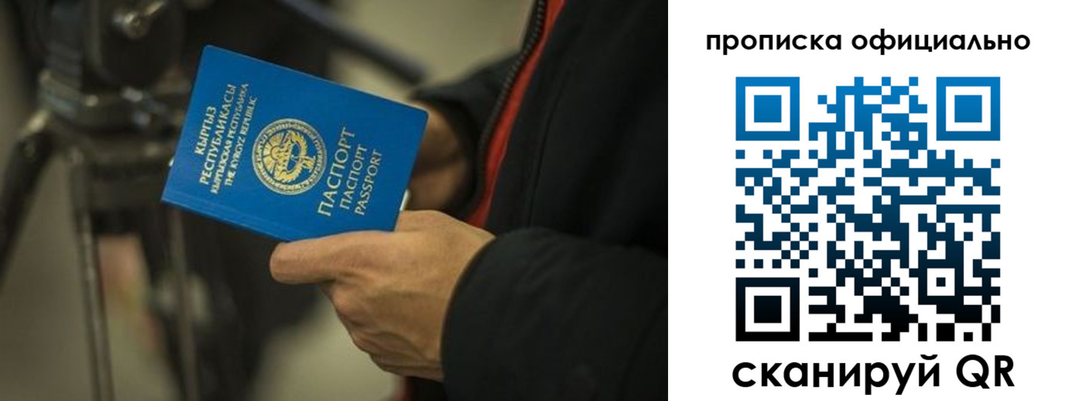 прописка в Судогде