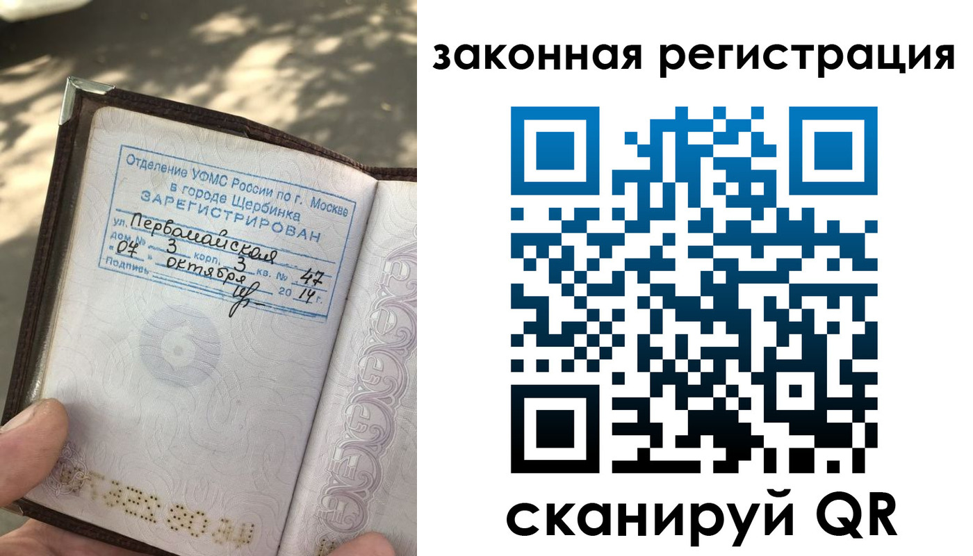 прописка 2025 в Судогде